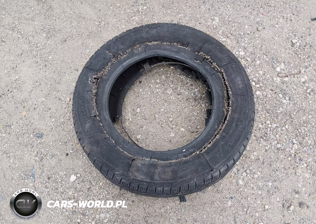 2007 Honda Element Ex VIN:5J6YH28747L015483 - 12