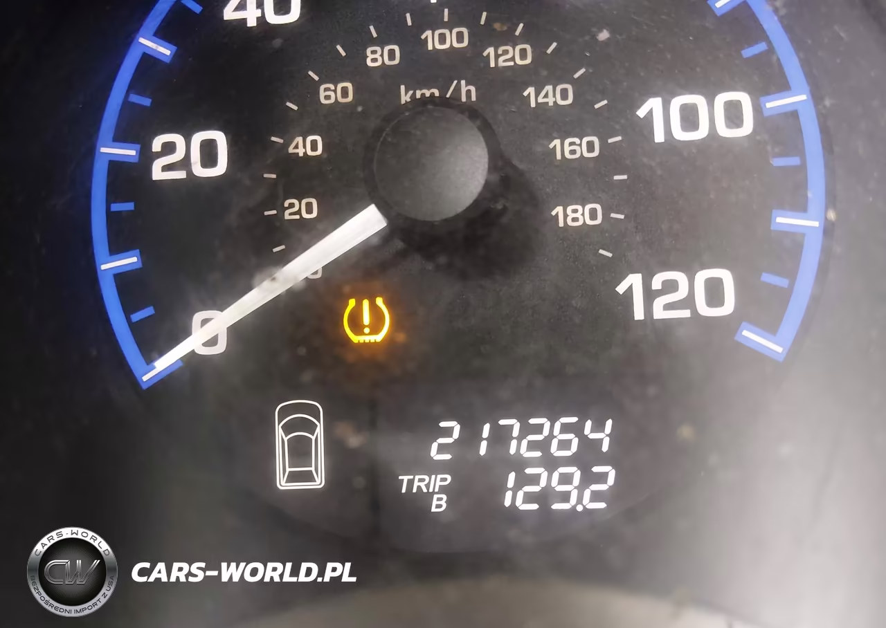 2007 Honda Element Ex VIN:5J6YH28747L015483 - 16
