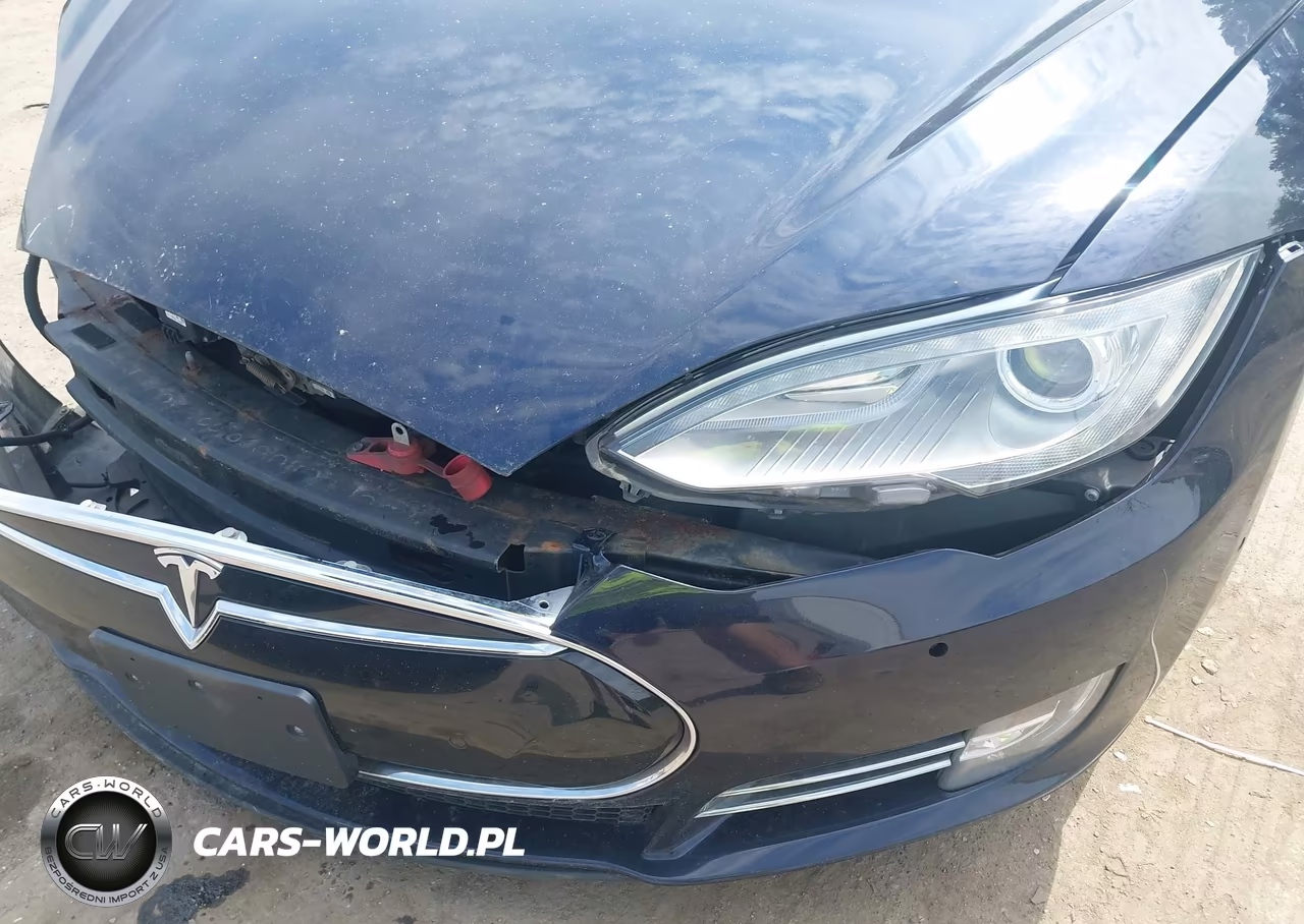 2014 Tesla Model S P85D VIN:5YJSA1H2XEFP65808 - 12