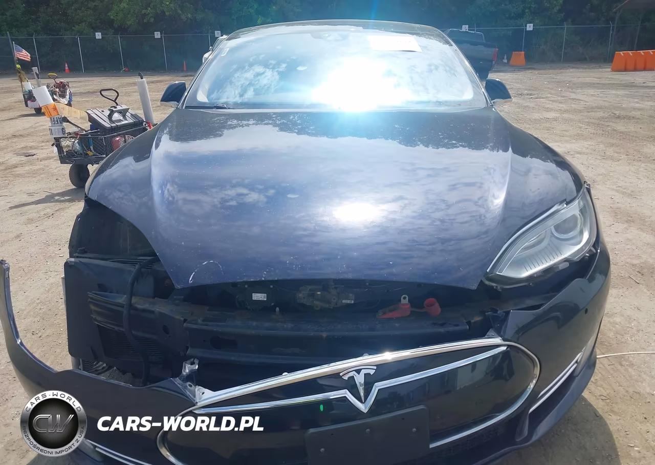 2014 Tesla Model S P85D VIN:5YJSA1H2XEFP65808 - 13