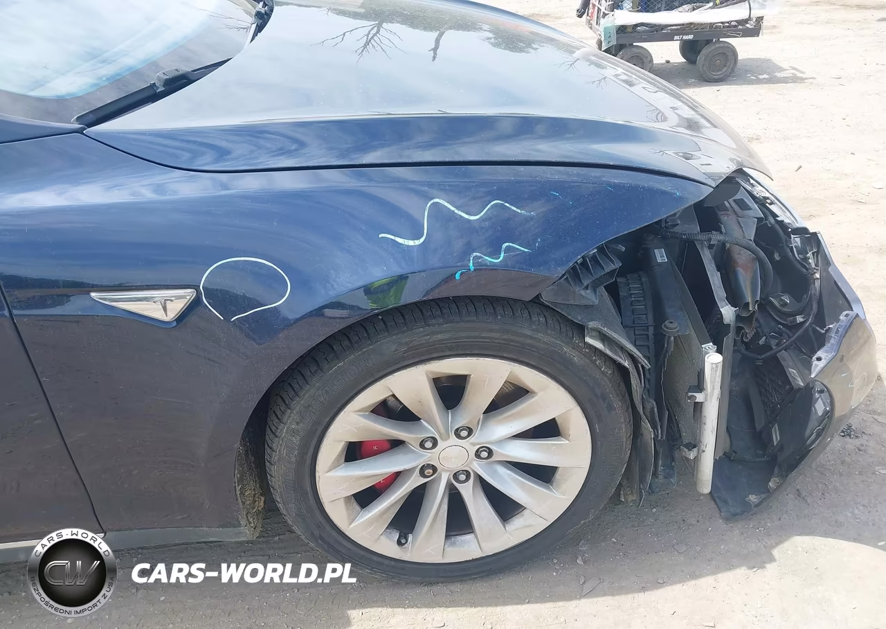 2014 Tesla Model S P85D VIN:5YJSA1H2XEFP65808 - 22