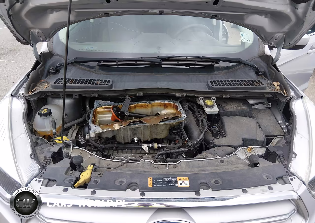 2019 Ford Escape Se VIN:1FMCU0GD0KUA88842 - 10