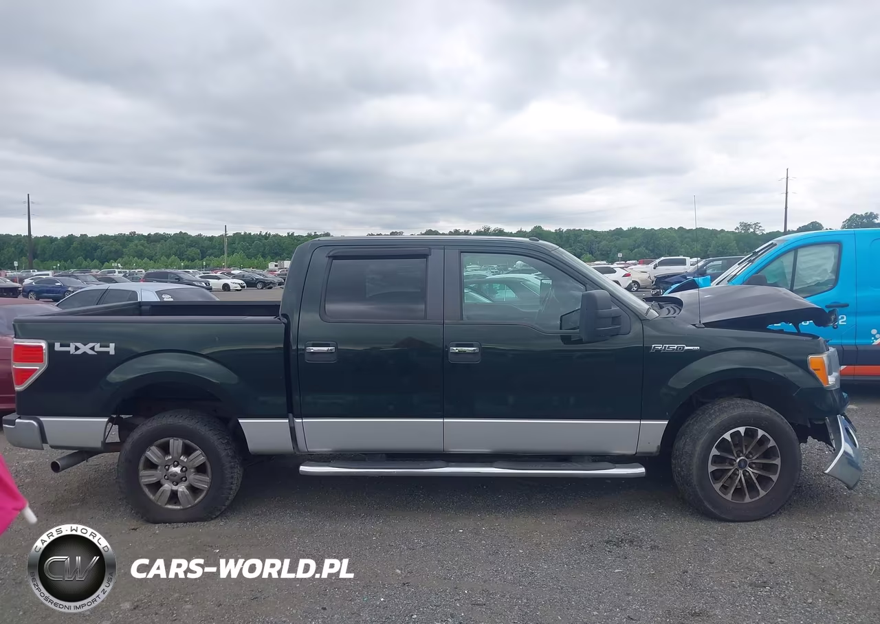 2012 Ford F-150 Xlt VIN:1FTFW1EF7CFC39137 - 12