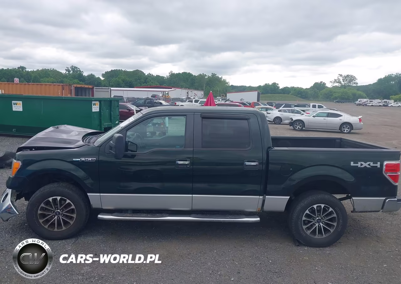 2012 Ford F-150 Xlt VIN:1FTFW1EF7CFC39137 - 13
