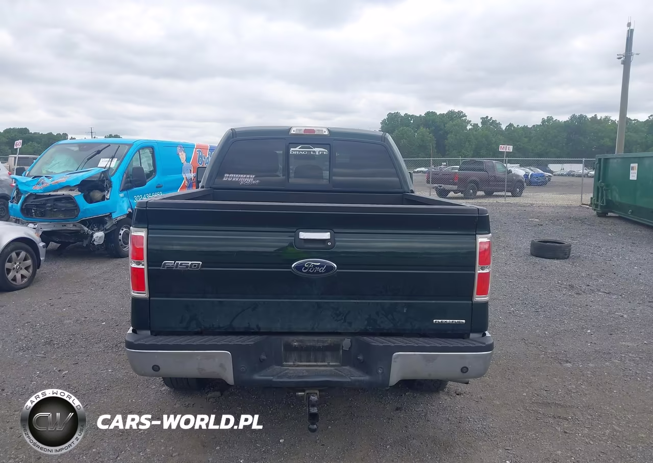 2012 Ford F-150 Xlt VIN:1FTFW1EF7CFC39137 - 15