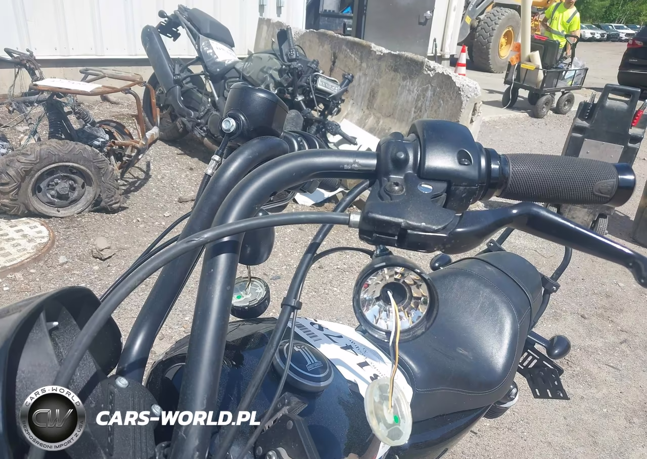 2021 Harley-Davidson Xl1200 Ns VIN:1HD1LP318MB410725 - 16