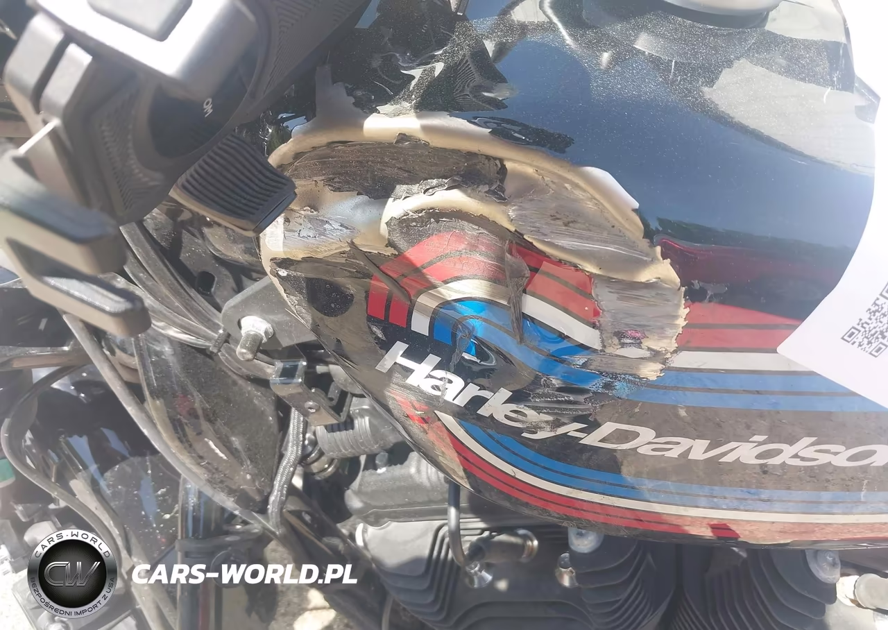 2021 Harley-Davidson Xl1200 Ns VIN:1HD1LP318MB410725 - 17