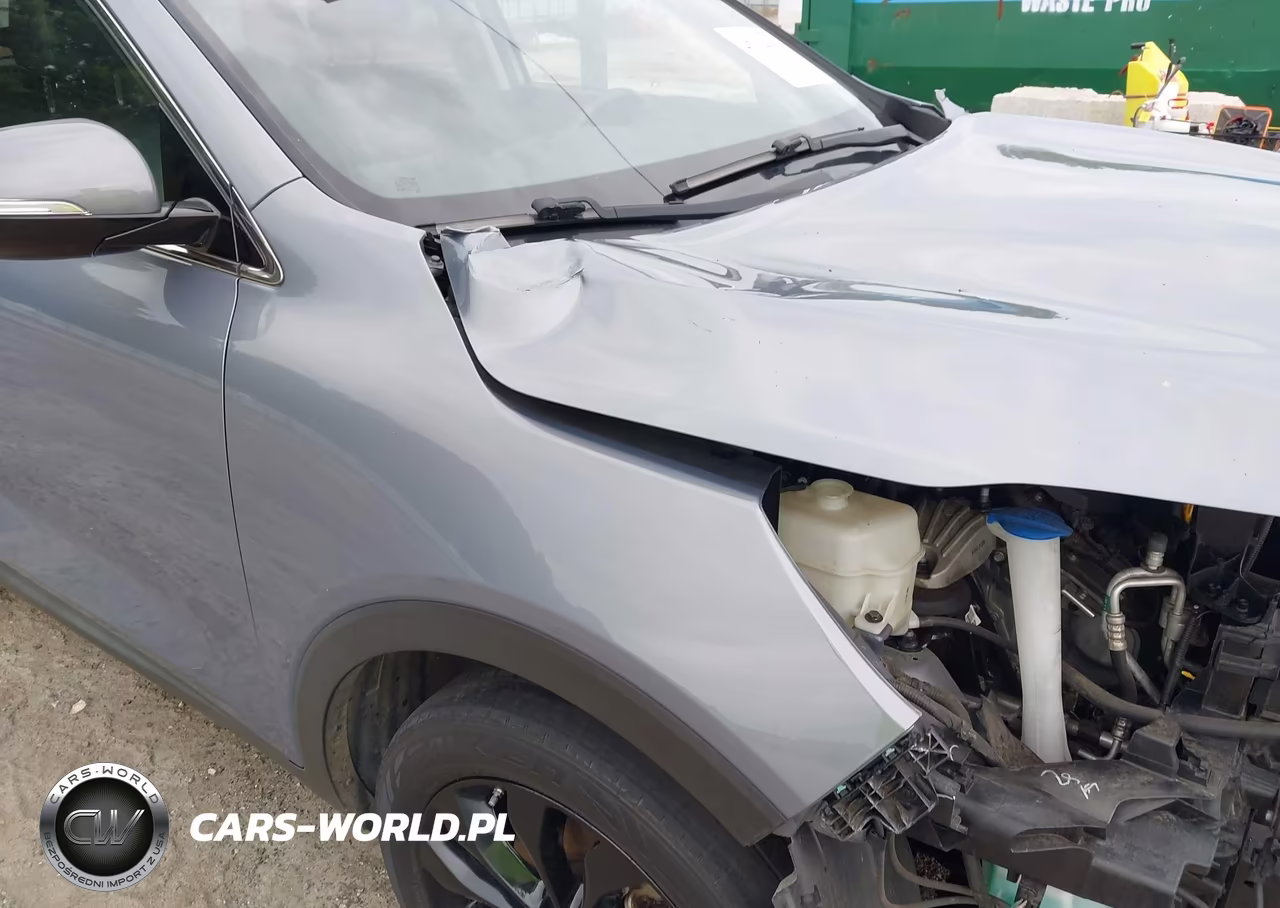 2020 Kia Sorento 3.3L Ex VIN:5XYPH4A52LG639715 - 18