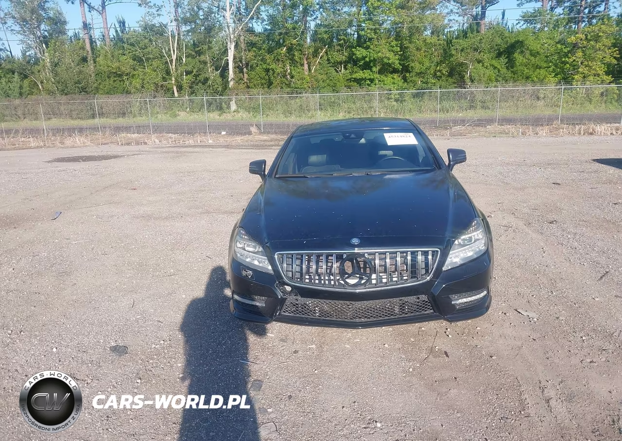 2013 Mercedes-Benz Cls 550 4Matic VIN:WDDLJ9BB8DA078402 - 12