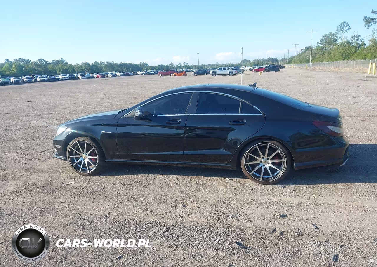 2013 Mercedes-Benz Cls 550 4Matic VIN:WDDLJ9BB8DA078402 - 14