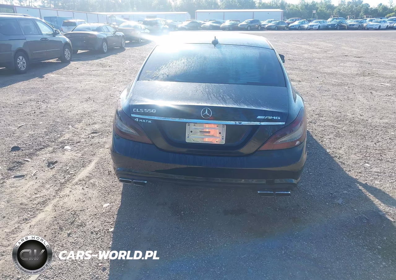 2013 Mercedes-Benz Cls 550 4Matic VIN:WDDLJ9BB8DA078402 - 16