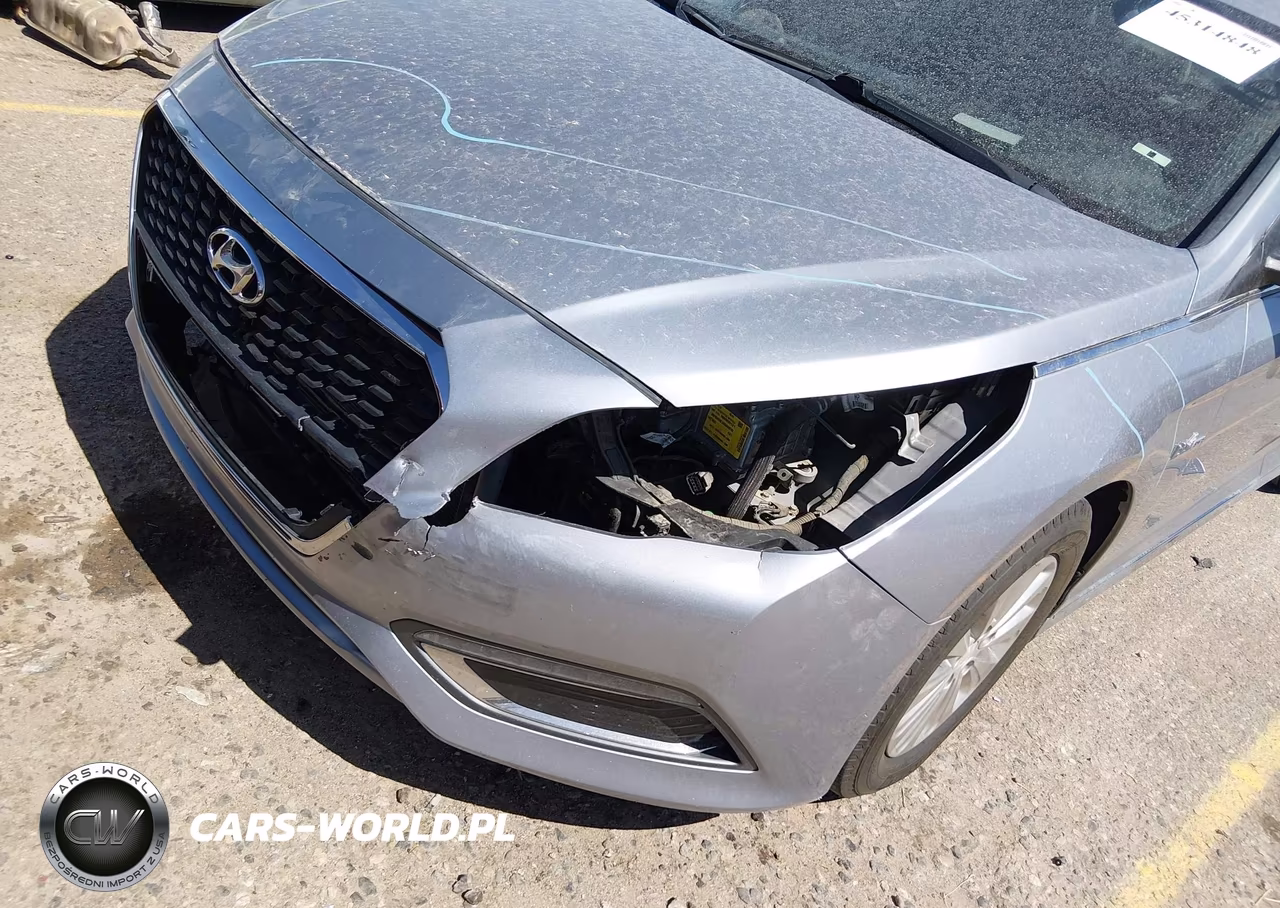 2017 Hyundai Sonata Hybrid Se VIN:KMHE24L17HA046700 - 18
