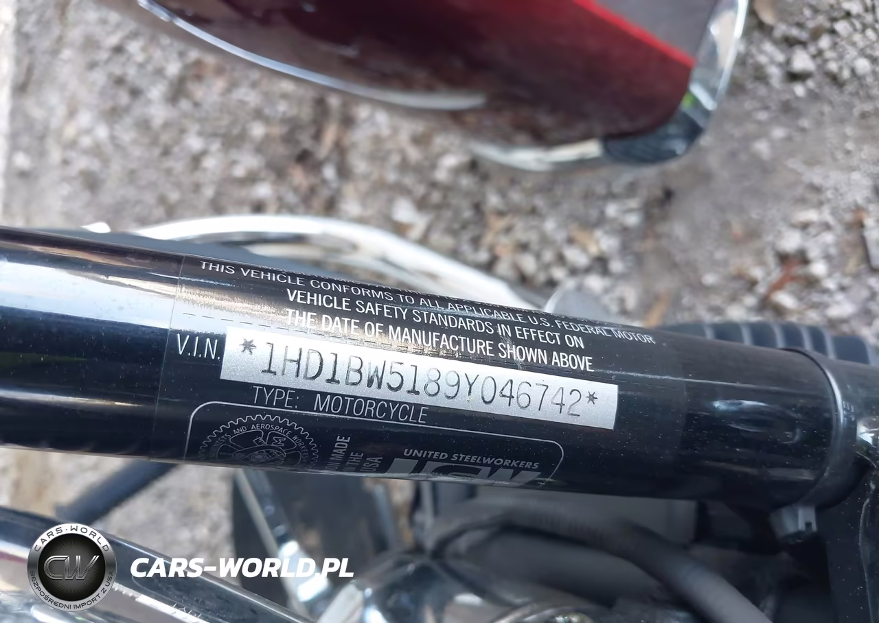 2009 Harley-Davidson Flstc VIN:1HD1BW5189Y046742 - 10