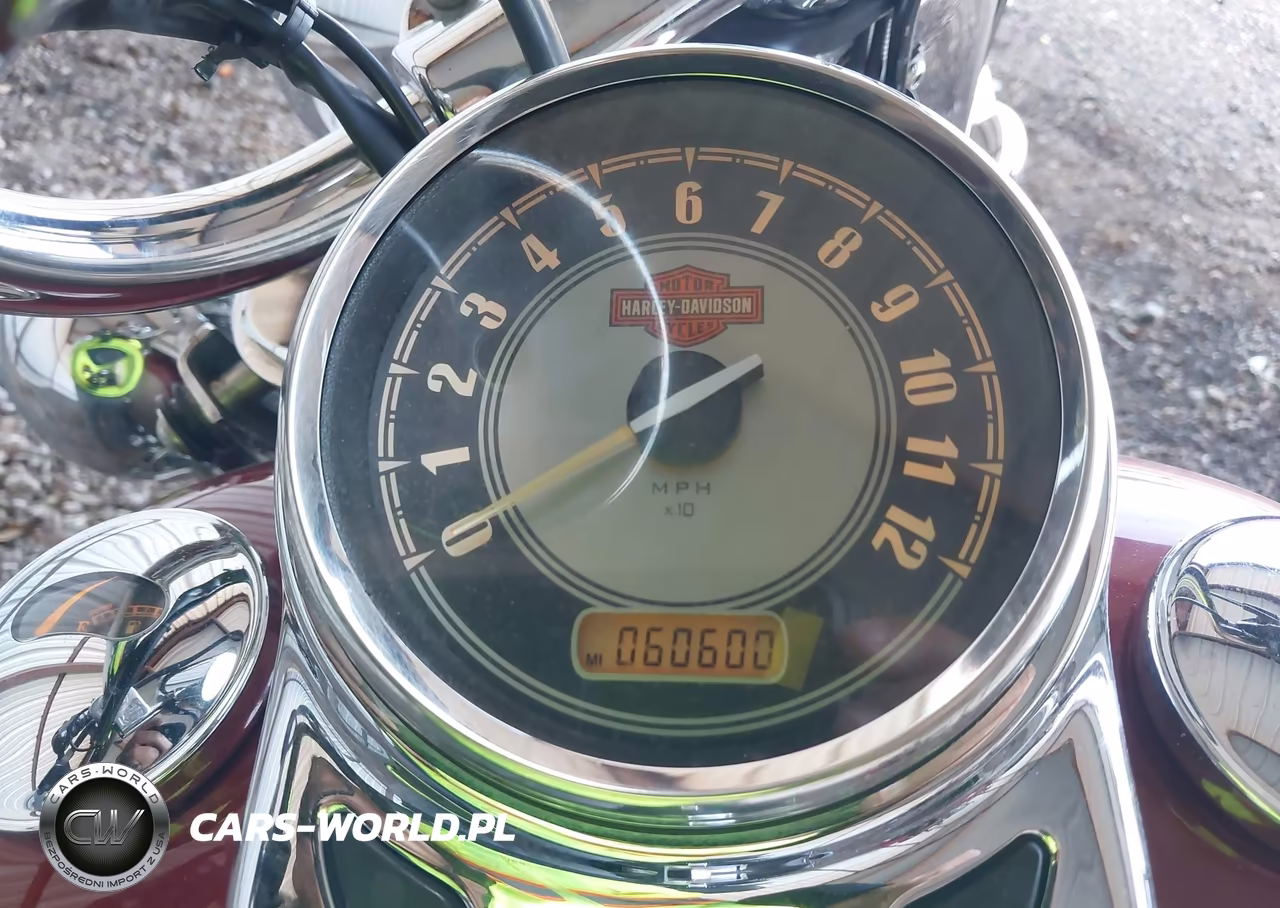 2009 Harley-Davidson Flstc VIN:1HD1BW5189Y046742 - 7