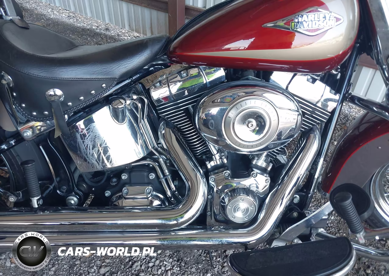 2009 Harley-Davidson Flstc VIN:1HD1BW5189Y046742 - 8