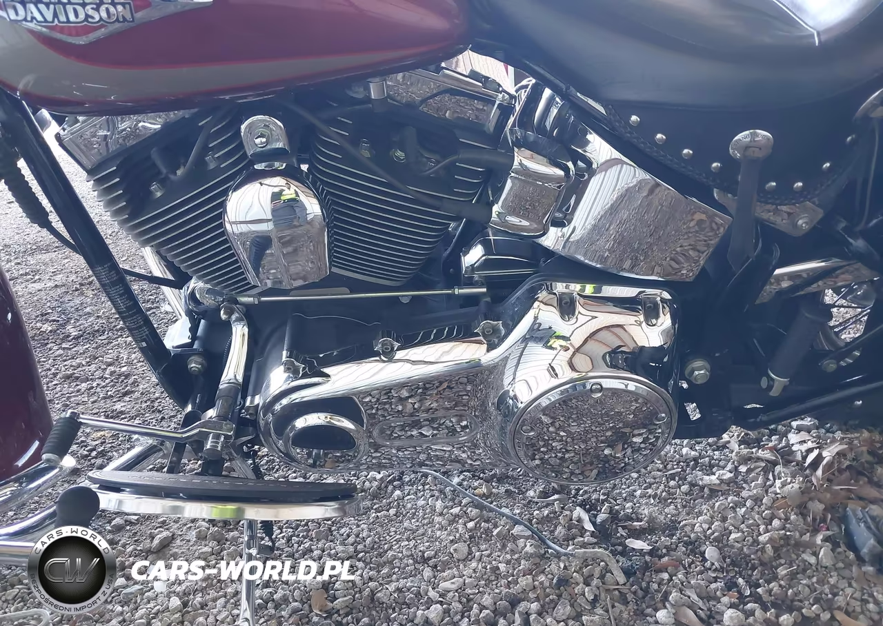 2009 Harley-Davidson Flstc VIN:1HD1BW5189Y046742 - 9