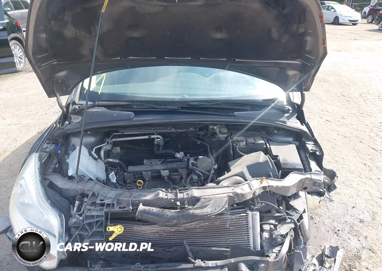 2013 Ford Focus Se VIN:1FADP3K23DL330495 - 10