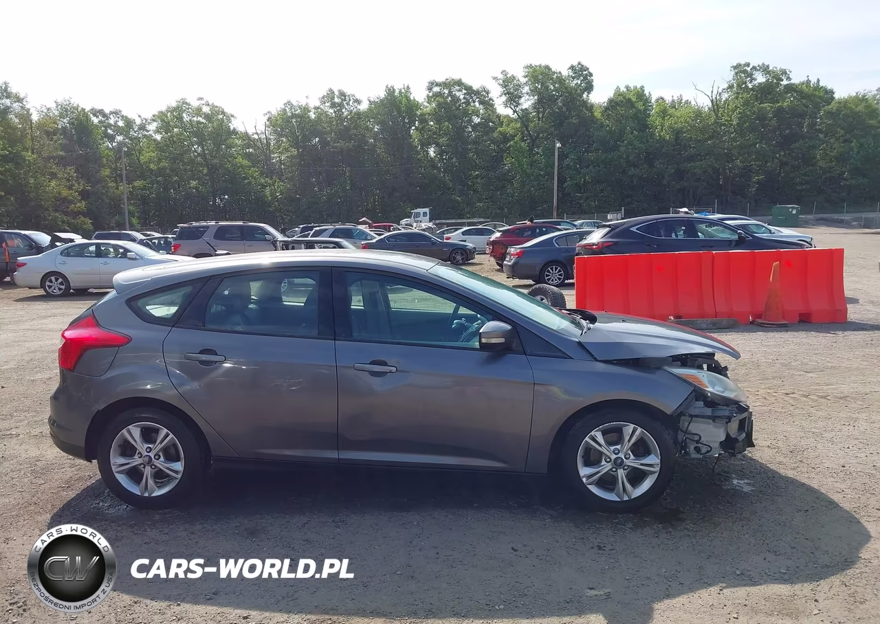 2013 Ford Focus Se VIN:1FADP3K23DL330495 - 12