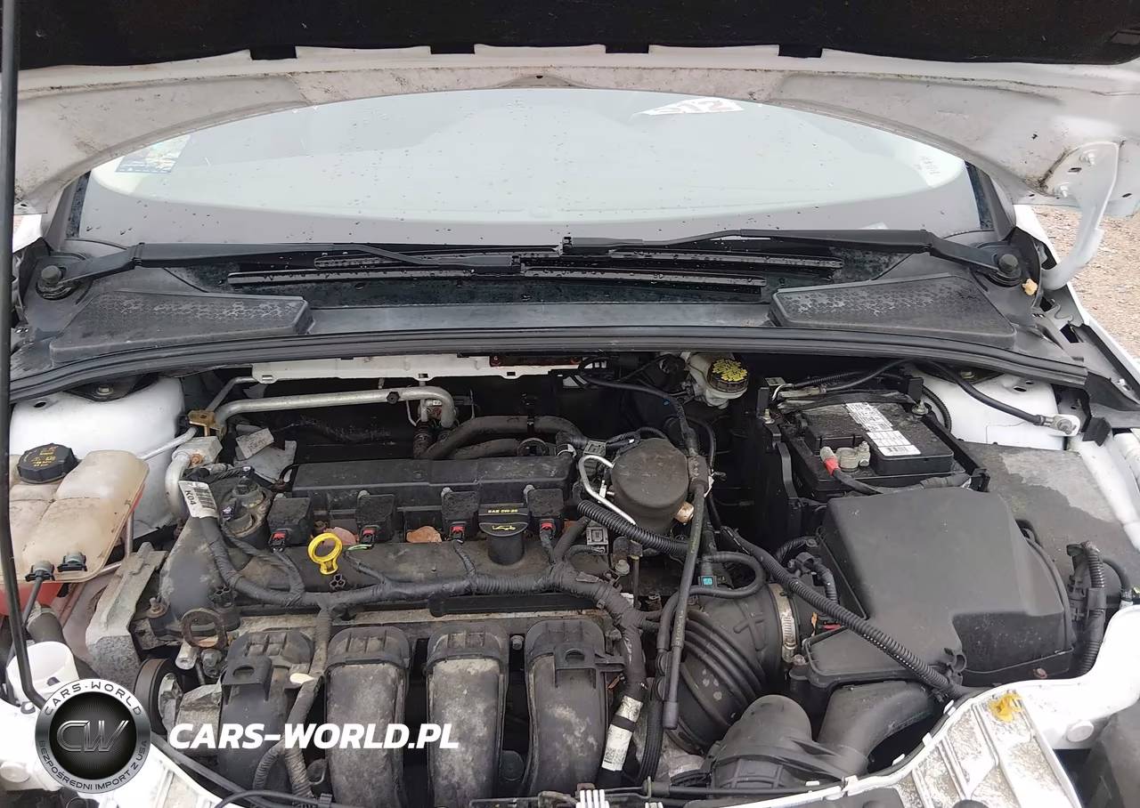 2014 Ford Focus Se VIN:1FADP3K25EL339653 - 10