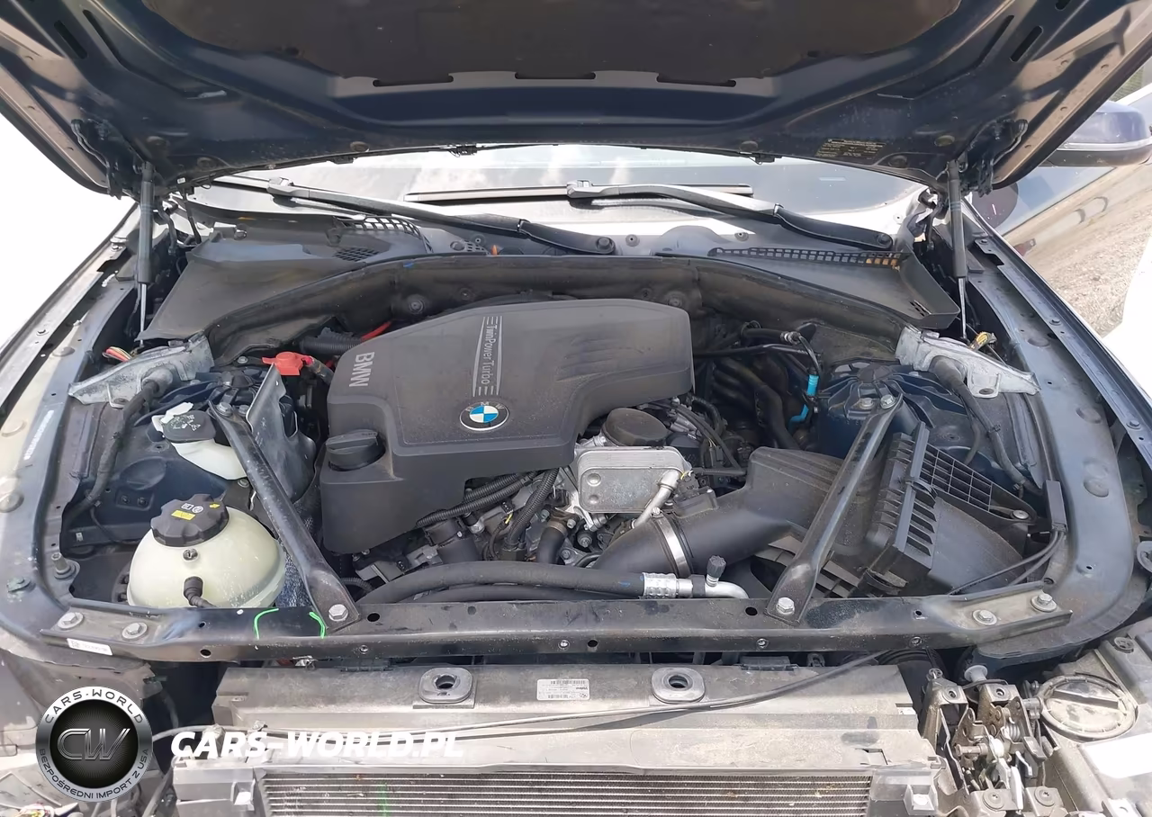 2015 BMW 528I VIN:WBA5A5C59FD517822 - 10