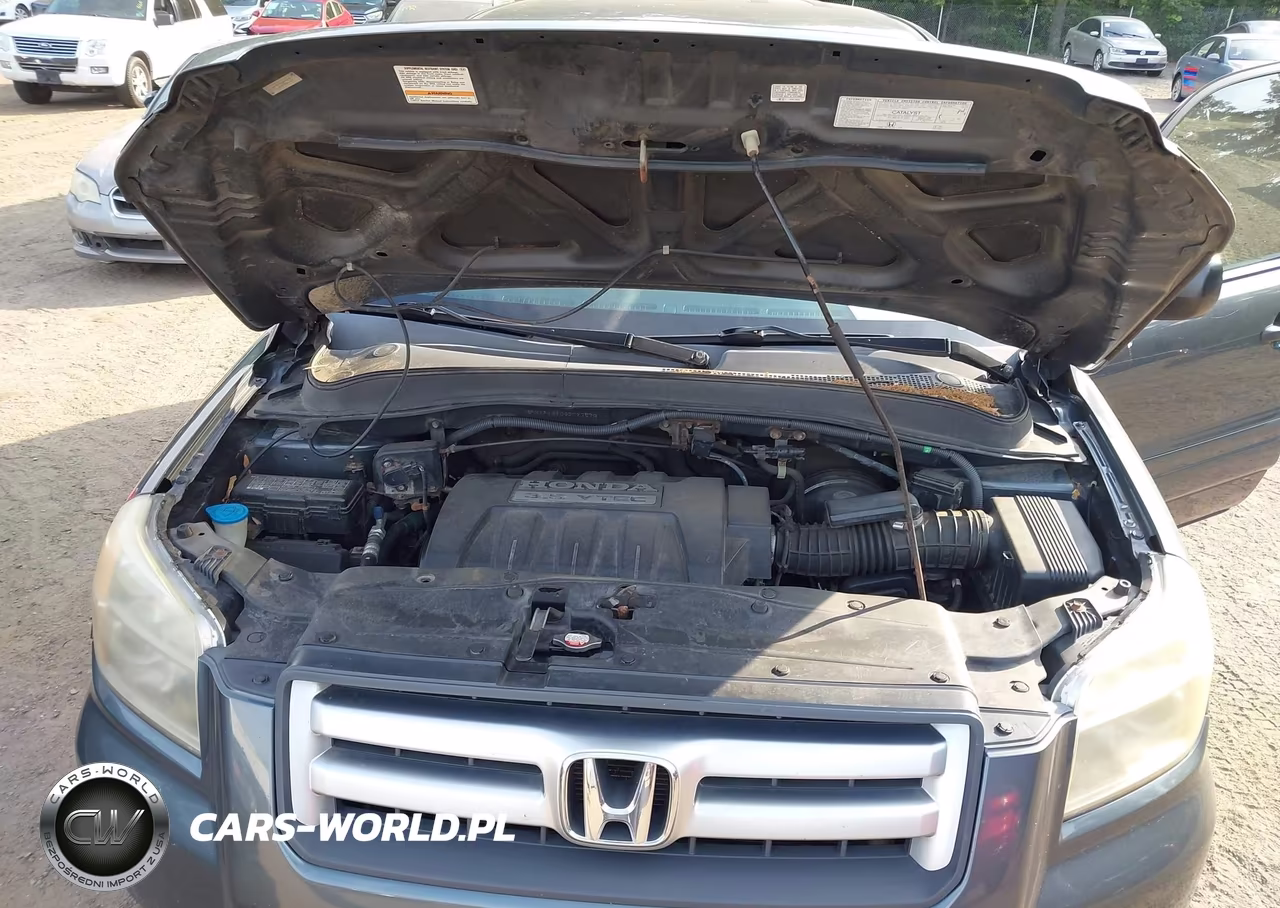 2006 Honda Pilot Lx VIN:5FNYF18106B027570 - 10