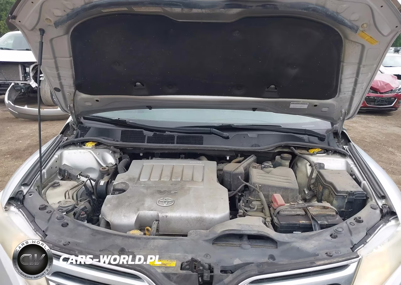 2009 Toyota Venza Base V6 VIN:4T3BK11AX9U009927 - 10