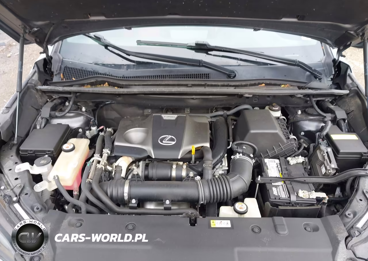 2021 Lexus Nx 300 F Sport VIN:JTJSARBZ1M2193689 - 10