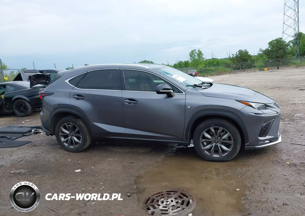 2021 Lexus Nx 300 F Sport VIN:JTJSARBZ1M2193689 - 14