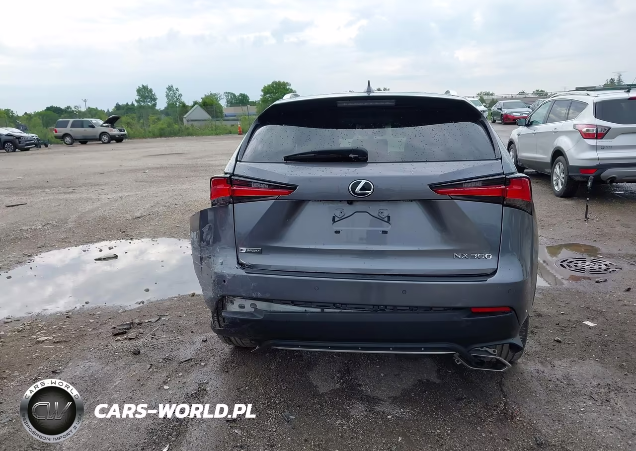 2021 Lexus Nx 300 F Sport VIN:JTJSARBZ1M2193689 - 17