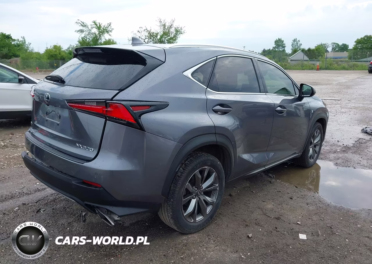 2021 Lexus Nx 300 F Sport VIN:JTJSARBZ1M2193689 - 4