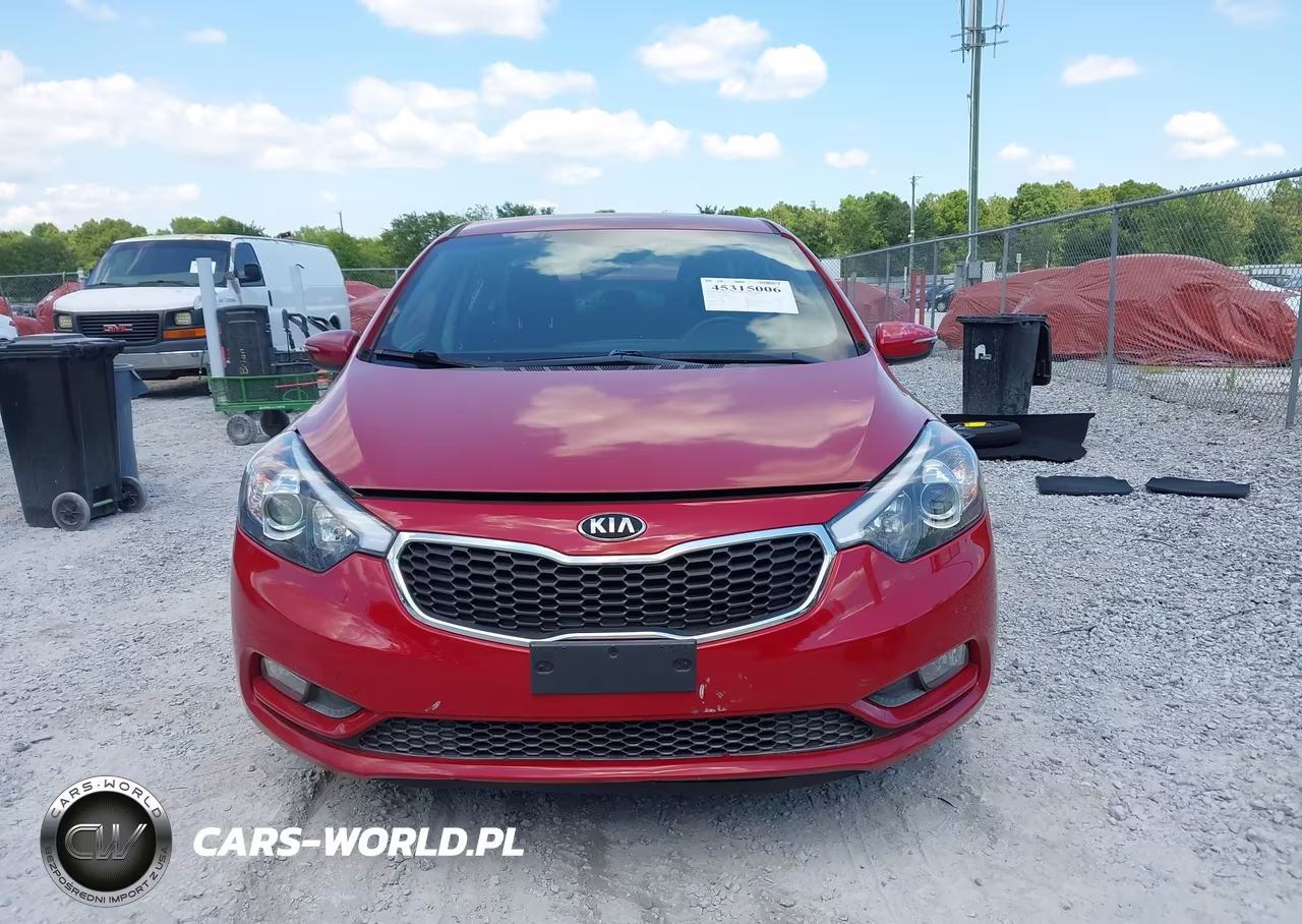 2014 Kia Forte Ex VIN:KNAFX4A81E5232020 - 12