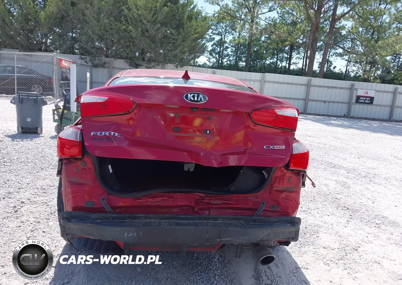 2014 Kia Forte Ex VIN:KNAFX4A81E5232020 - 16