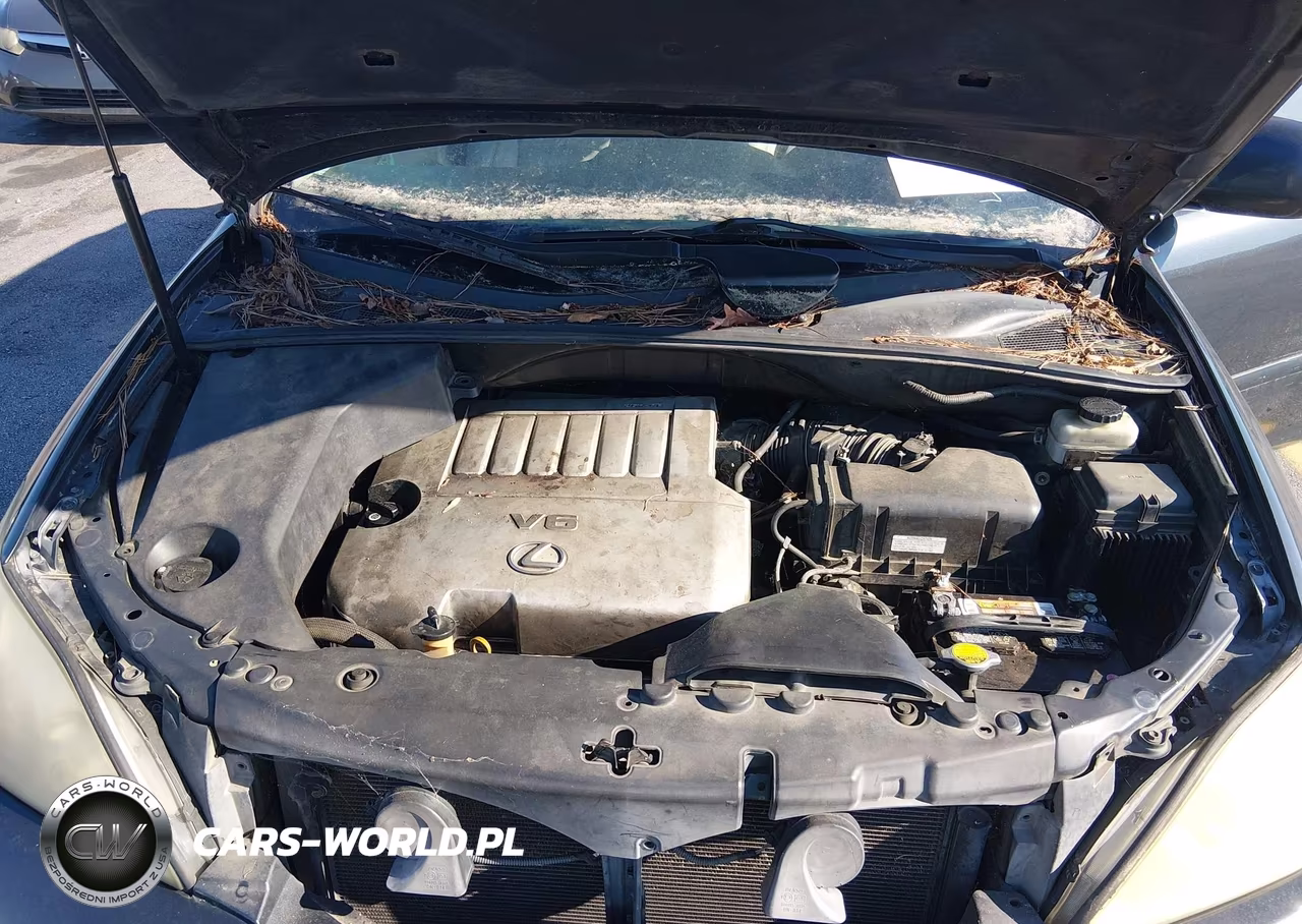 2007 Lexus Rx 350 VIN:2T2GK31U97C020156 - 10