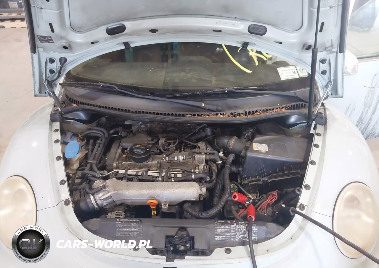 2004 Volkswagen New Beetle Gls 1.8T VIN:3VWCD31Y64M333004 - 10