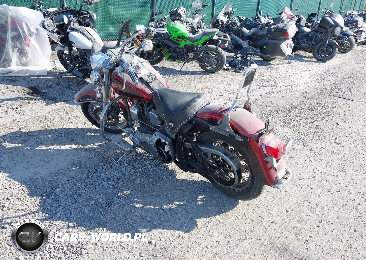 1994 Harley-Davidson Flstc VIN:1HD1BJL45RY020180 - 3