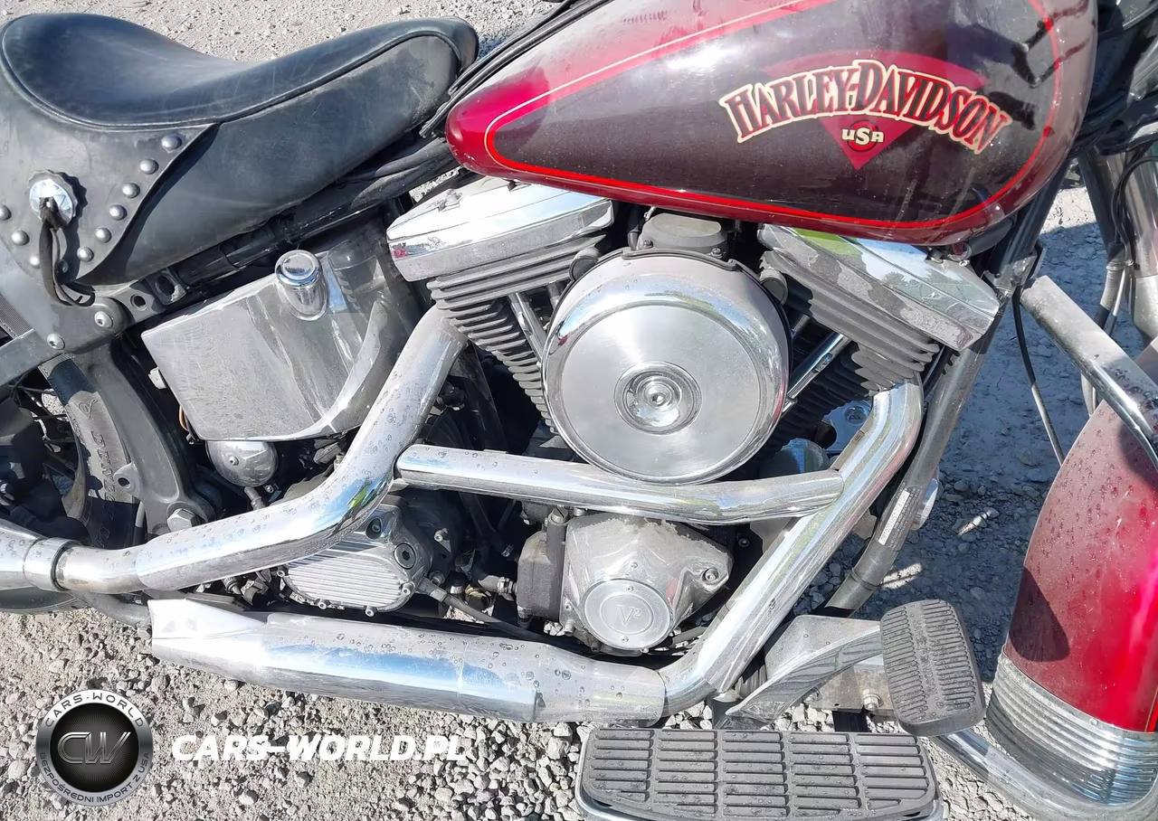 1994 Harley-Davidson Flstc VIN:1HD1BJL45RY020180 - 8