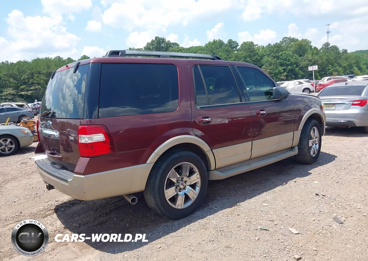 2010 Ford Expedition Eddie Bauer VIN:1FMJU1H58AEA38624 - 4