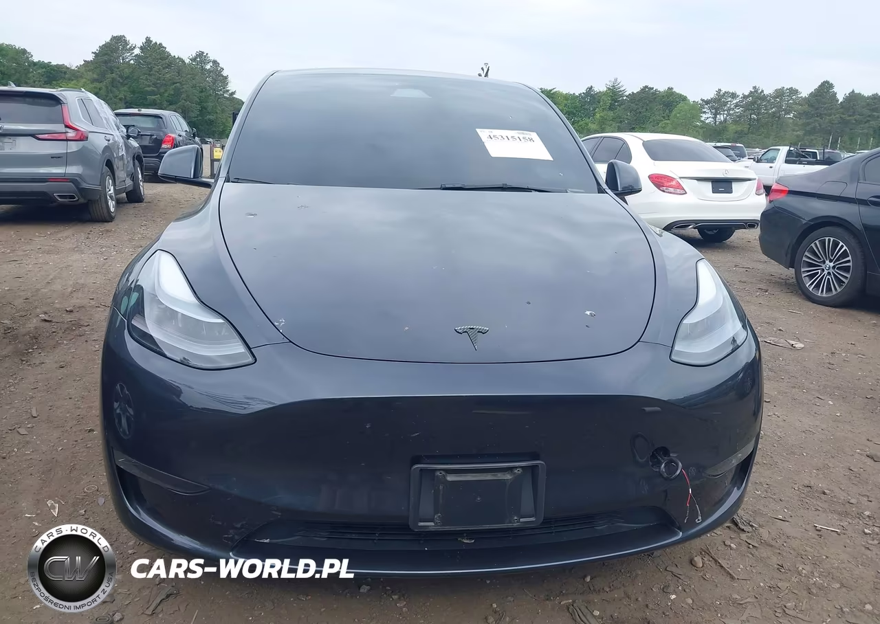 2025 Tesla Model Y Performance Dual Motor All-Wheel Drive VIN:7SAYGDEFXSA338075 - 12