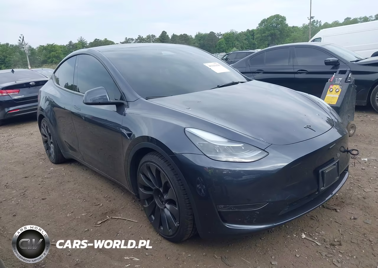 2025 Tesla Model Y Performance Dual Motor All-Wheel Drive VIN:7SAYGDEFXSA338075 - 13