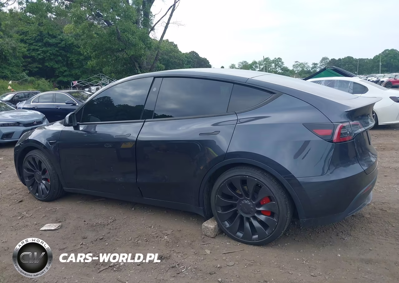 2025 Tesla Model Y Performance Dual Motor All-Wheel Drive VIN:7SAYGDEFXSA338075 - 14
