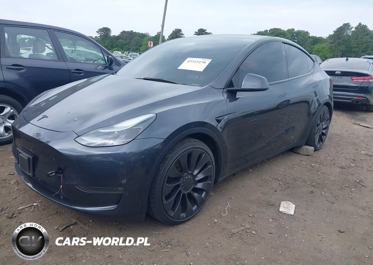 2025 Tesla Model Y Performance Dual Motor All-Wheel Drive VIN:7SAYGDEFXSA338075 - 2