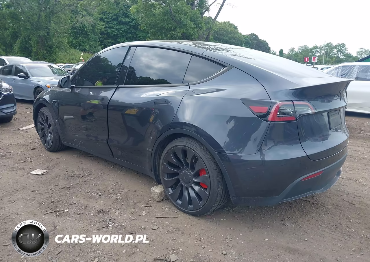 2025 Tesla Model Y Performance Dual Motor All-Wheel Drive VIN:7SAYGDEFXSA338075 - 3
