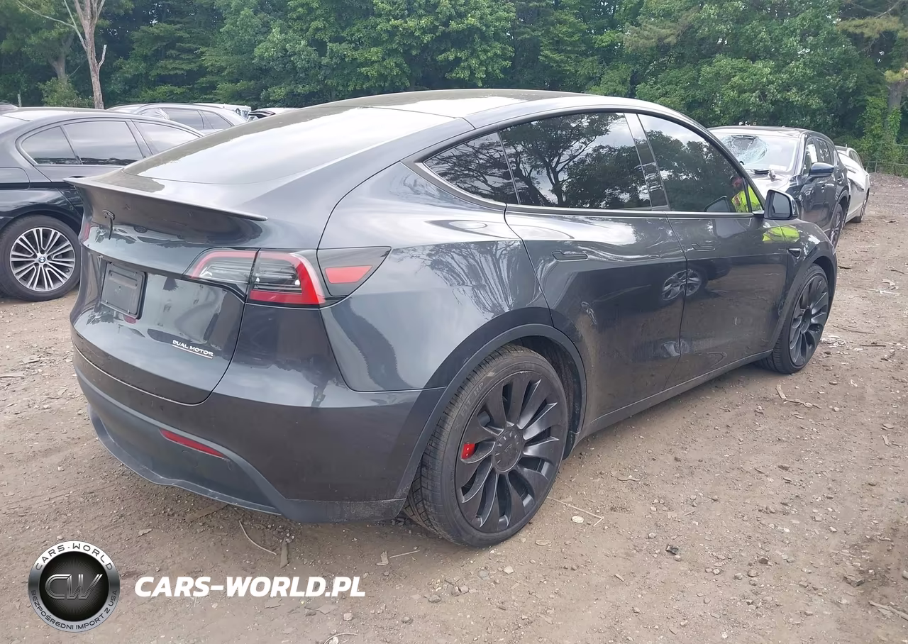 2025 Tesla Model Y Performance Dual Motor All-Wheel Drive VIN:7SAYGDEFXSA338075 - 4