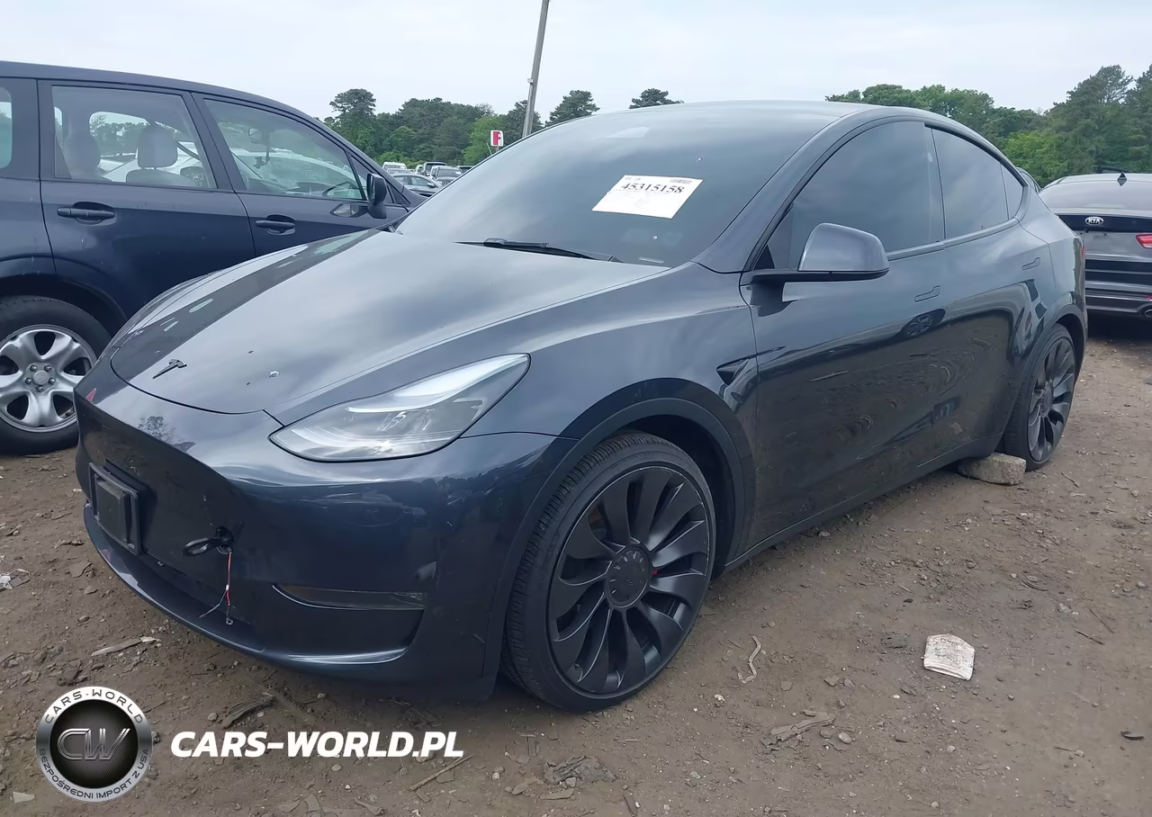 2025 Tesla Model Y Performance Dual Motor All-Wheel Drive VIN:7SAYGDEFXSA338075 - 6