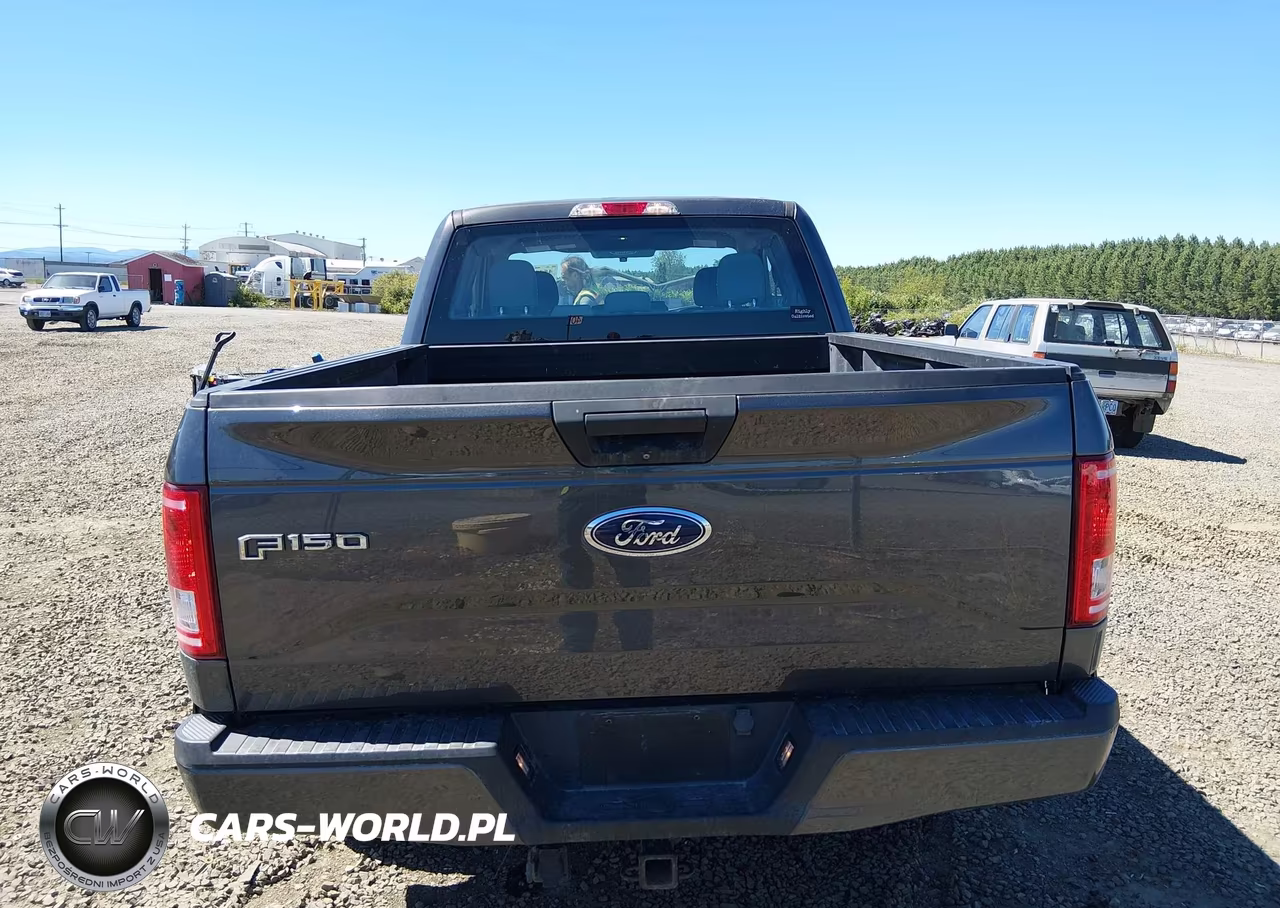 2016 Ford F-150 Xl VIN:1FTEX1EPXGFB27200 - 17
