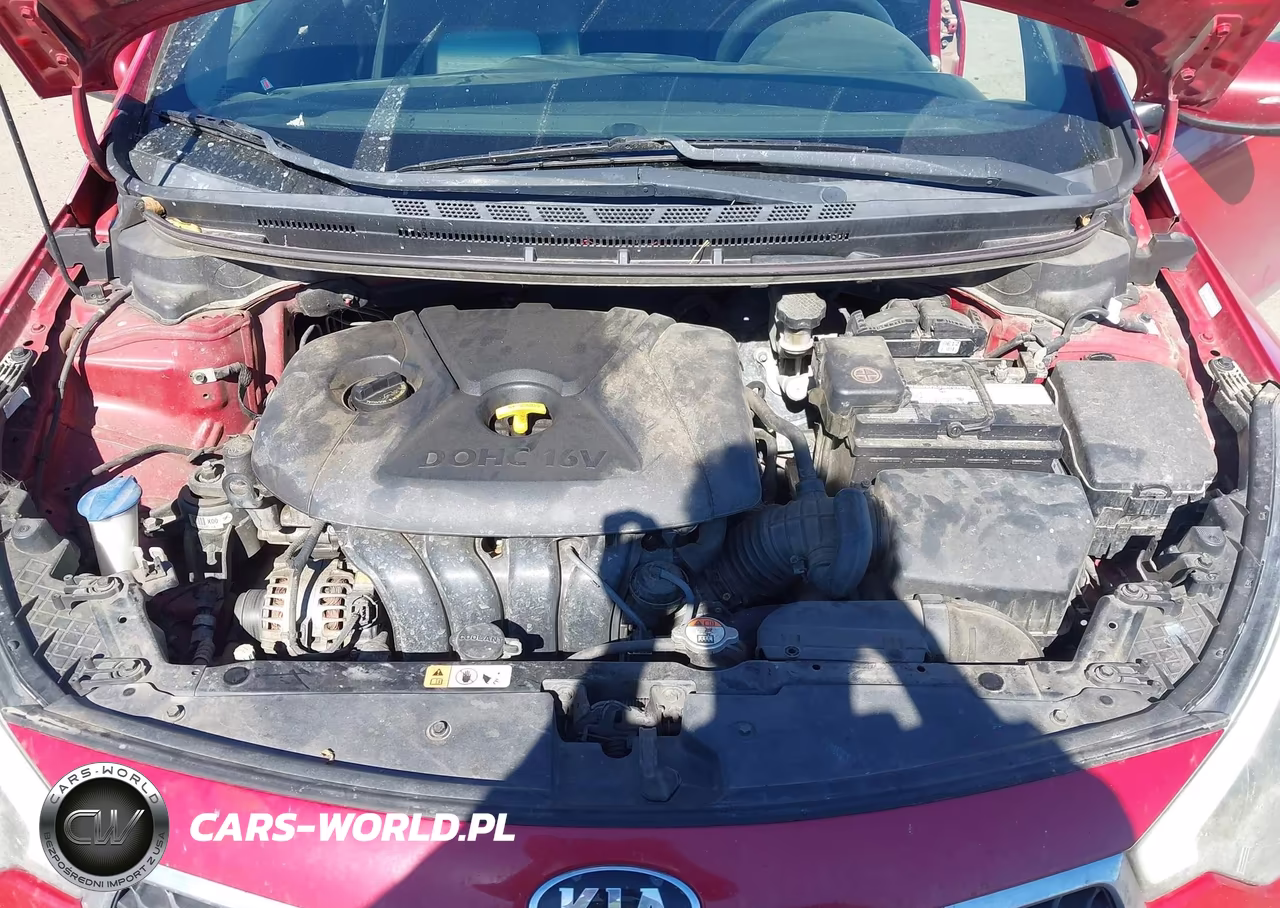 2016 Kia Forte Lx VIN:KNAFX4A68G5533689 - 10