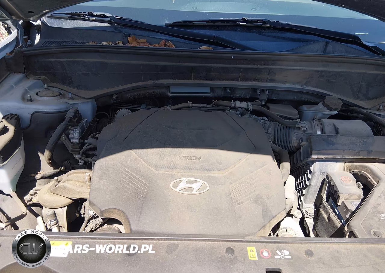 2021 Hyundai Palisade Sel VIN:KM8R34HEXMU187067 - 10