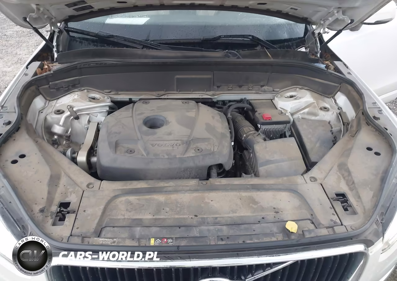 2019 Volvo Xc90 T6 Momentum VIN:YV4A22PK4K1443408 - 10