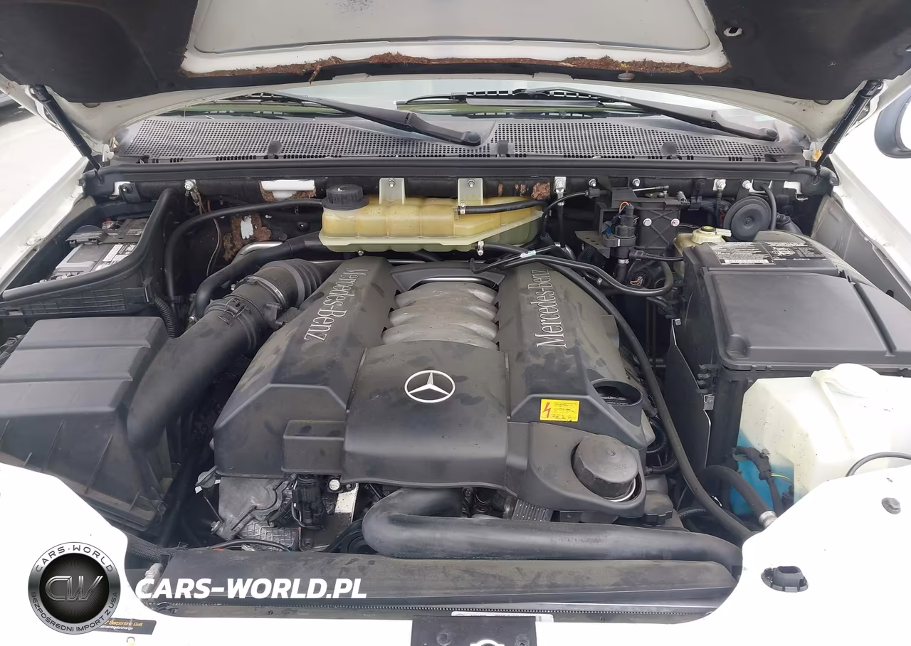 2002 Mercedes-Benz Ml 500 VIN:4JGAB75E82A337178 - 10
