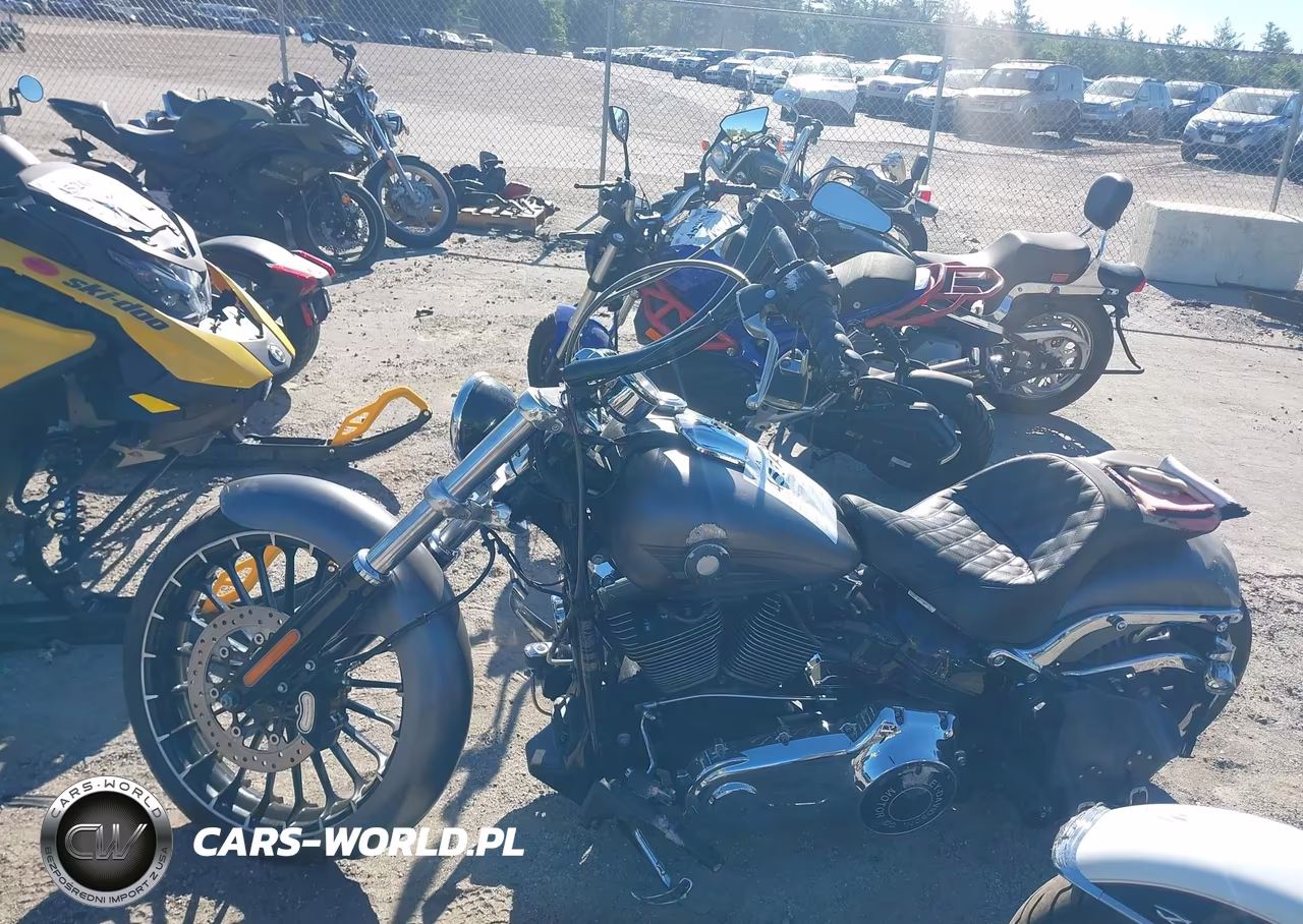 2017 Harley-Davidson Fxsb Breakout VIN:1HD1BFV19HB034455 - 12